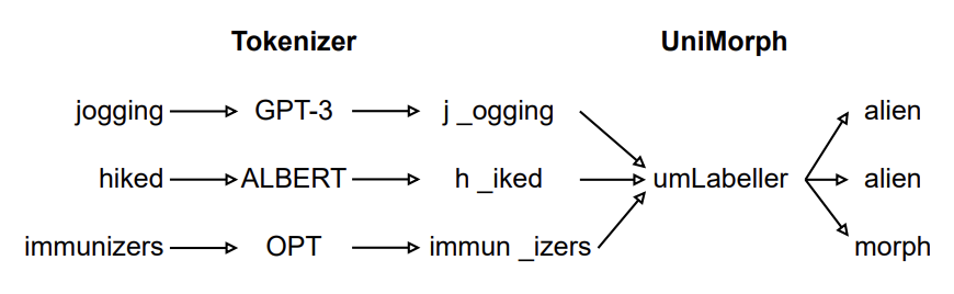Evaluating Subword Tokenization thumbnail